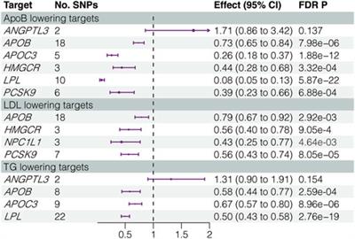 Lipid-lowering drugs affect lung cancer risk via sphingolipid metabolism: a drug-target Mendelian randomization study